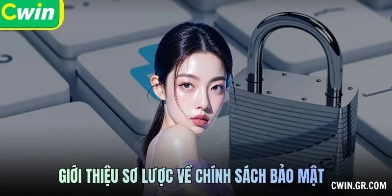 Giới thiệu sơ lược về Chính sách bảo mật